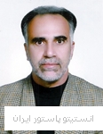 سیدحسین شیرازی